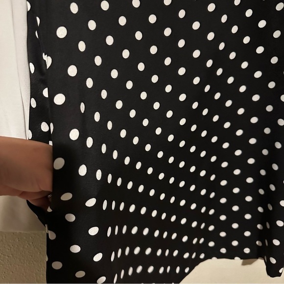 Zara Polka Dot Dress - Picture 7 of 7